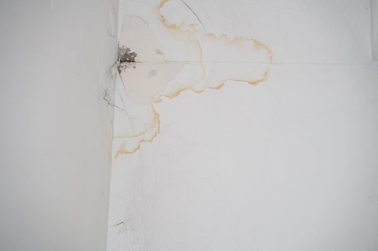 Water damaged ceiling with mold, peeling paint, and brown leak stains in residential home interior